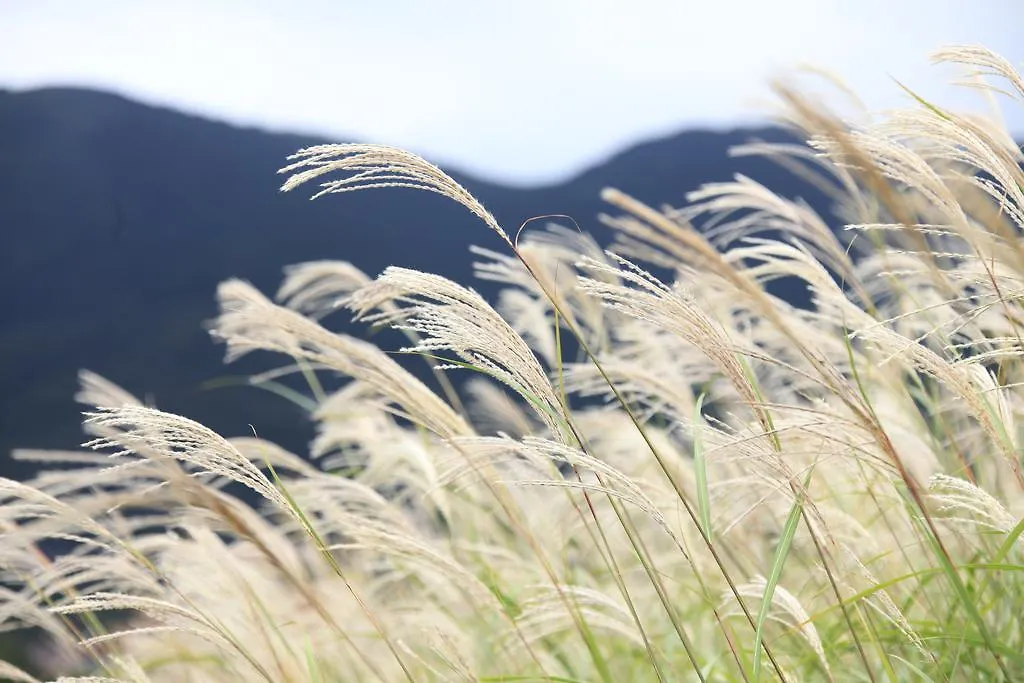 Hotel Hakone Fuga (Adults Only) Giappone